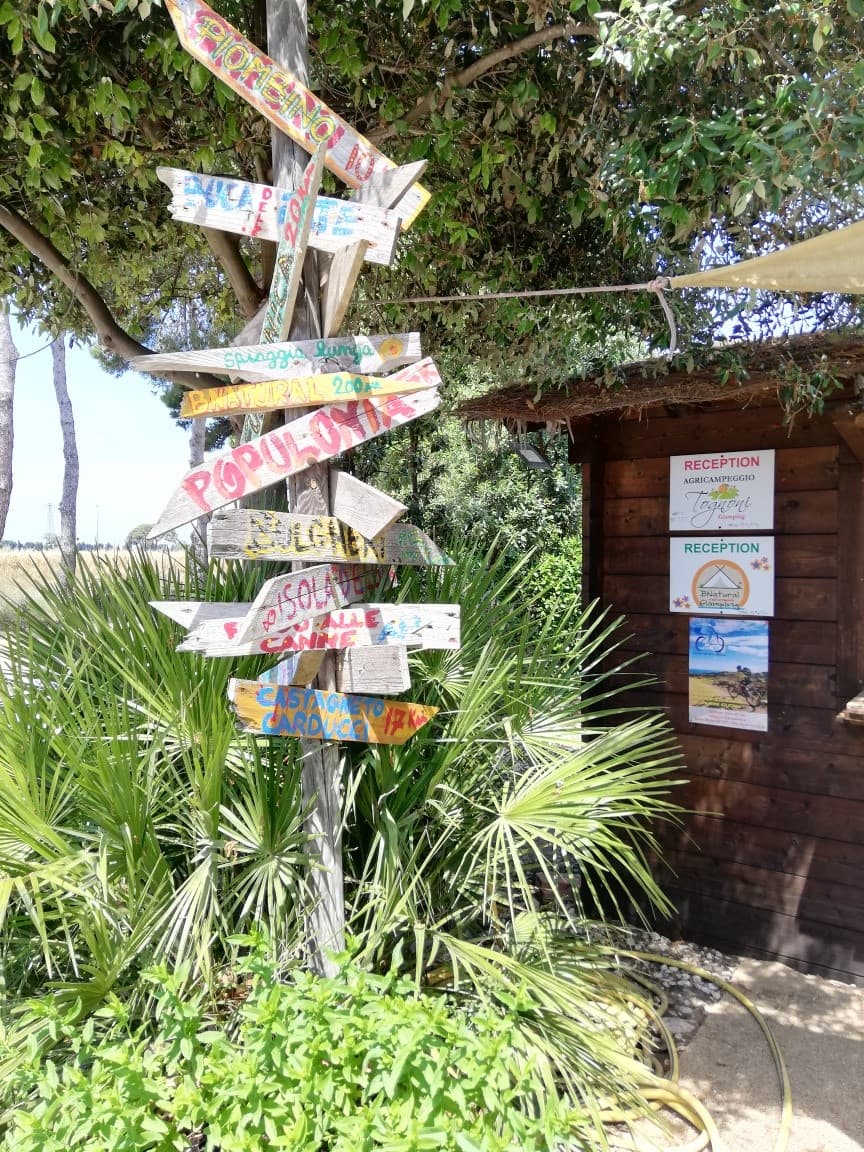 Ristoranti e Vita Notturna