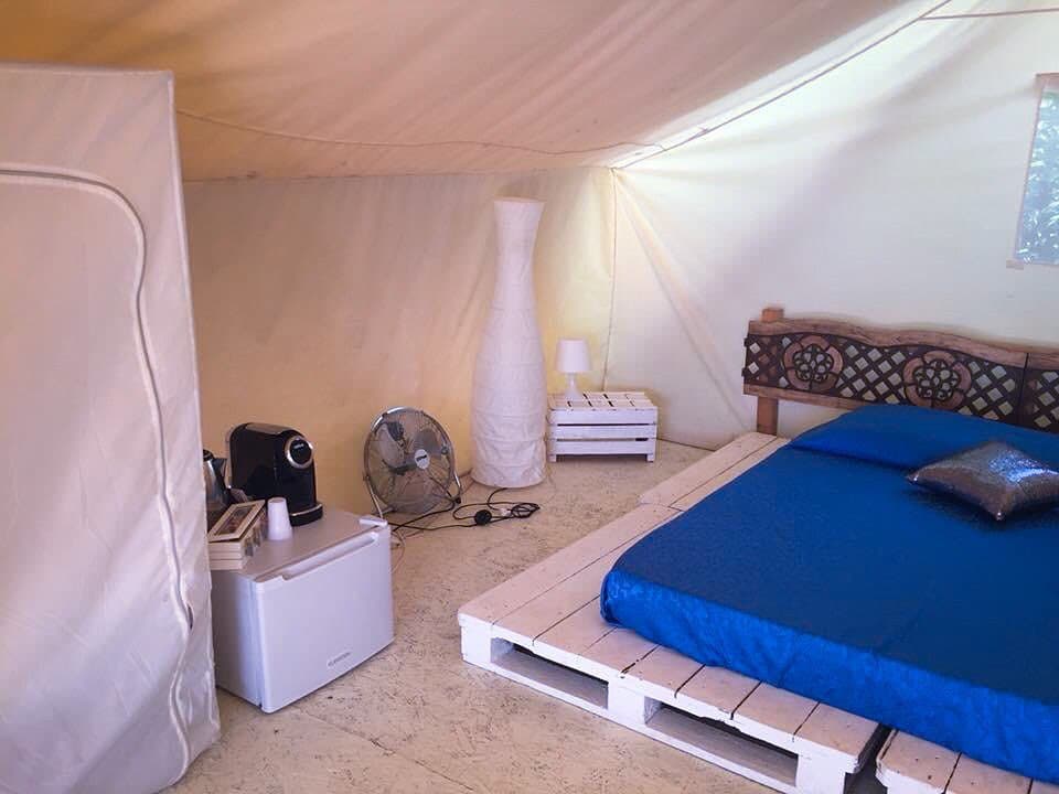 Galleria fotografica 8