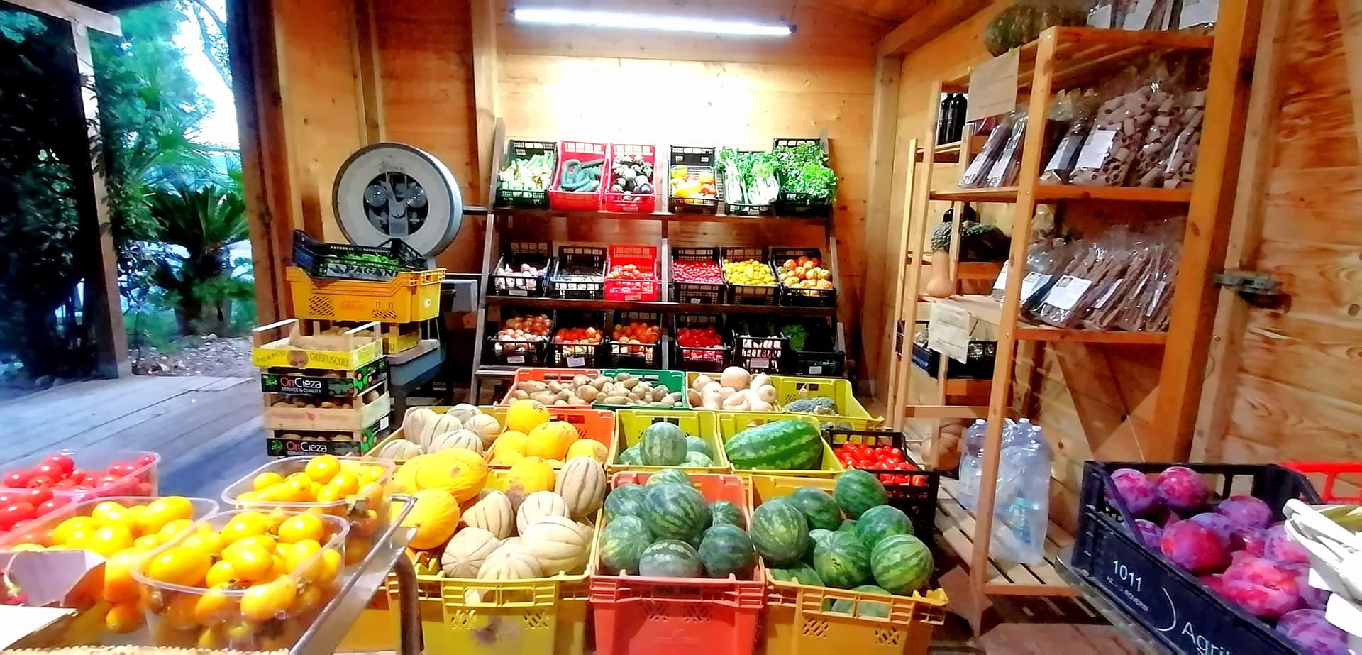 Tre generazioni di famiglia Tognoni