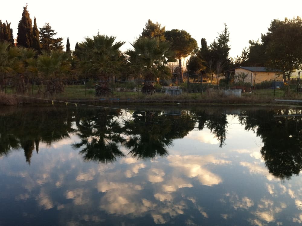 L'azienda agricola — 7