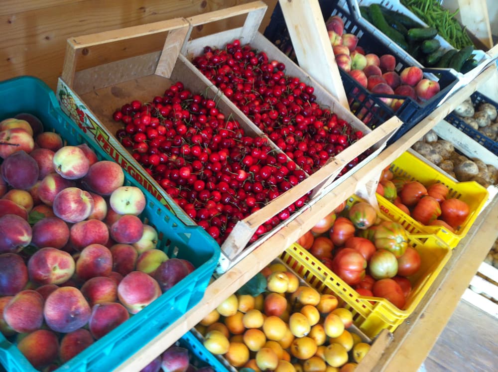 L'azienda agricola — 9