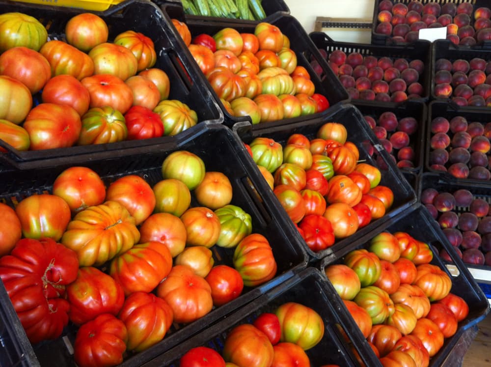 L'azienda agricola — 11