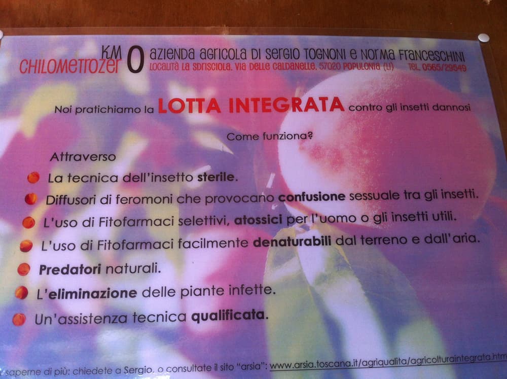 L'azienda agricola — 15