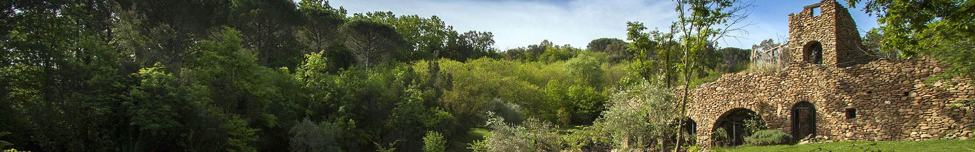 Terme di Sassetta-La Cerreta