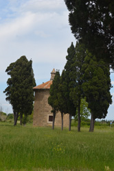 agricampeggio tognoni bolgheri